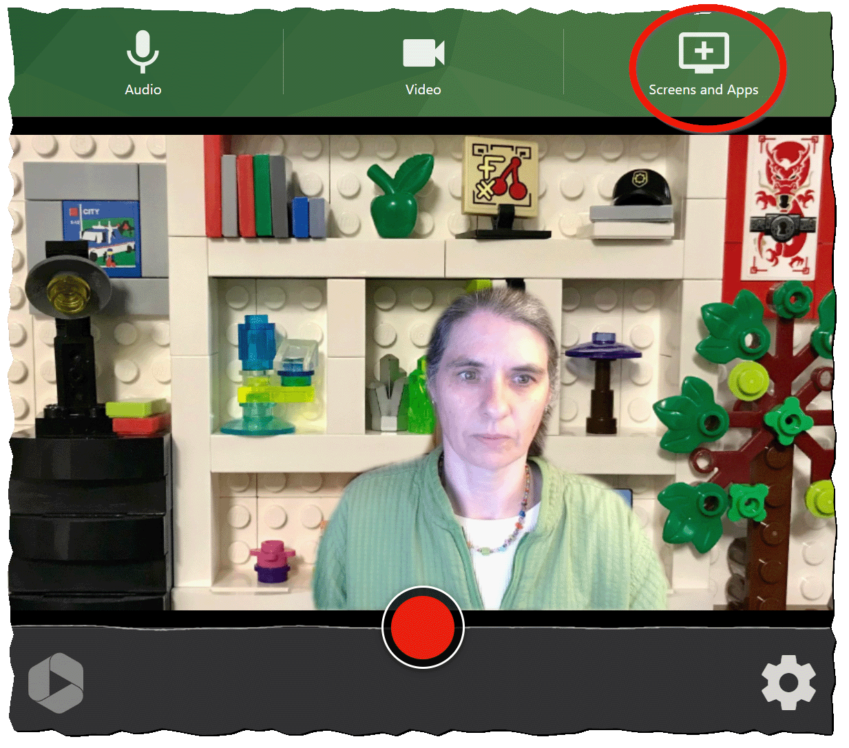 Panopto Screen selection option circled
